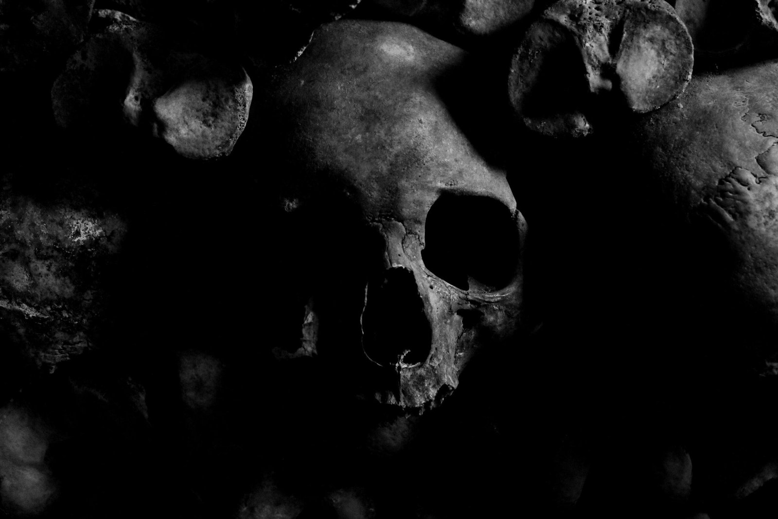 Can these Bones Live?