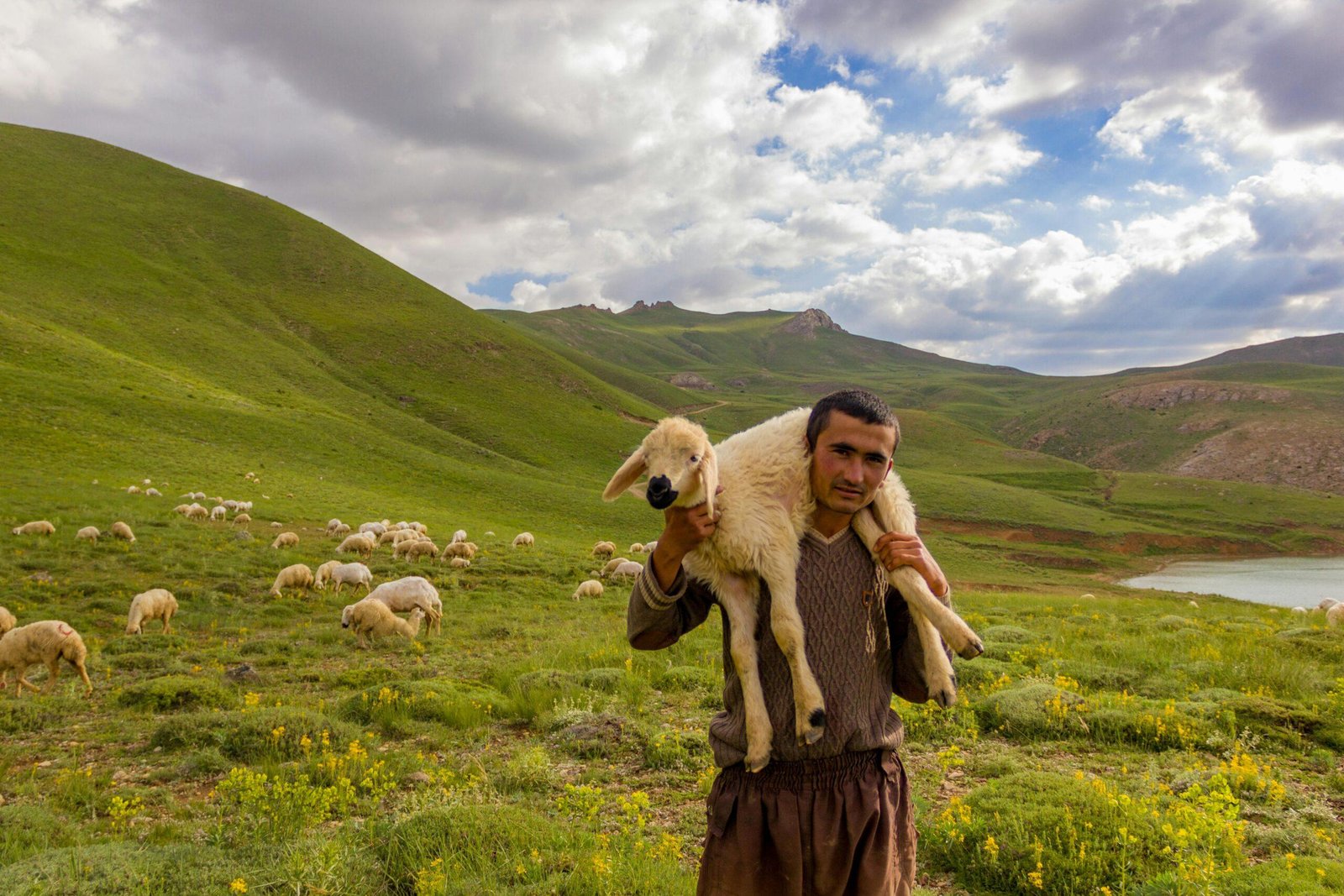My Shepherd is the LORD